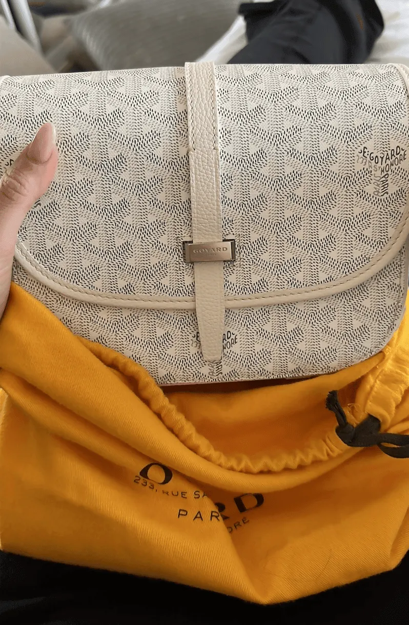 Belvedere Messenger Monogram Chevron Handbag